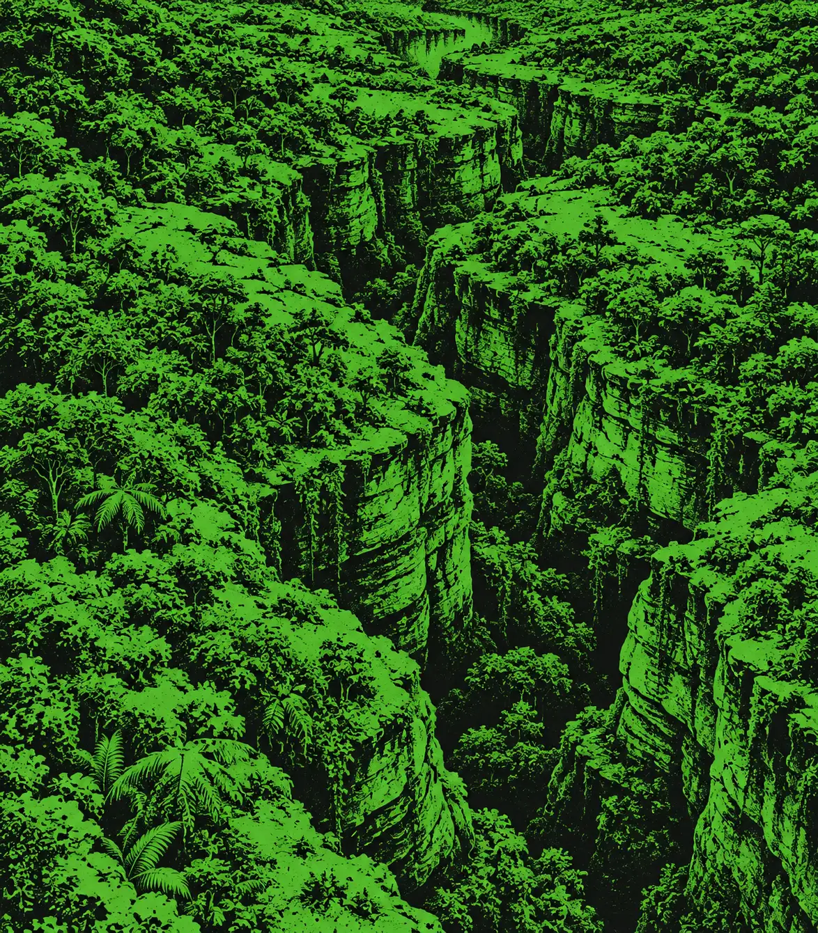 Narrow canyons cutting through dense green forest.