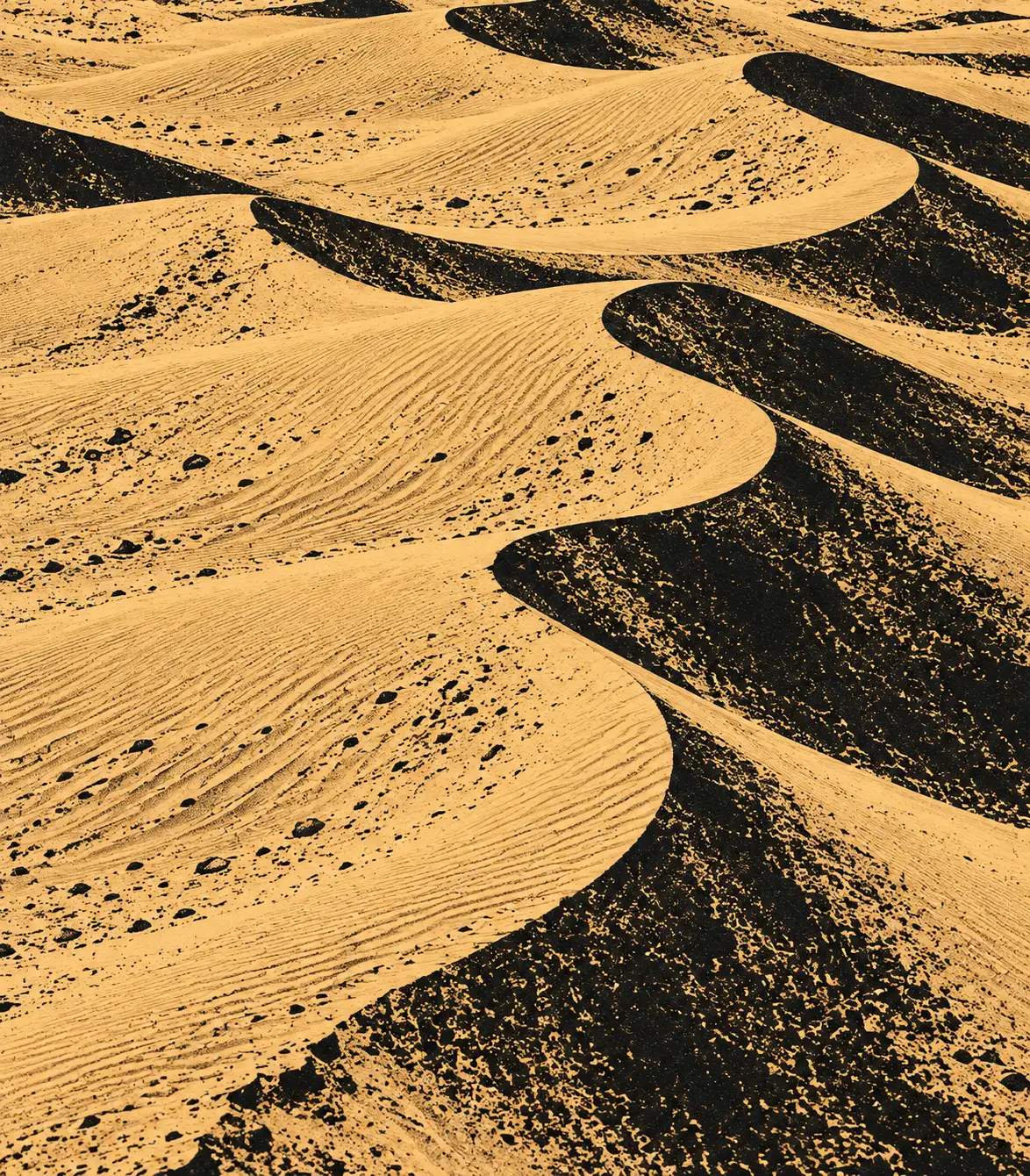 Rippled sand dunes with deep shadowed slopes.